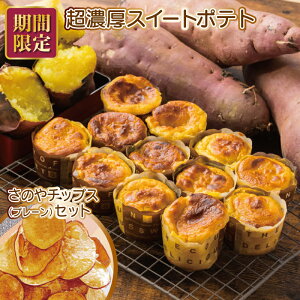 yӂ邳Ɣ[ŁzԌ ̂ Z XC[g|eg ̂`bvX v[ t { 򍲖s 