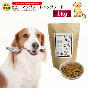 yӂ邳Ɣ[ŁzY Y hbOt[h ̂̂͂ 1kg q[}O[h  F _h~ ۑ sgp ς 50 Oet[ mICR[eBO  G