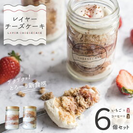 【ふるさと納税】レイヤーチーズケーキ 6個セット（苺／コーヒー）