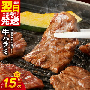 yӂ邳Ɣ[Łz󂠂  n~ n~ ؂ XCX Iׂ 1kg / 1.5kg  TCYs `̐ԃ^Ђ t Ă ȒP ē  Hi Ⓚ   5ȓ