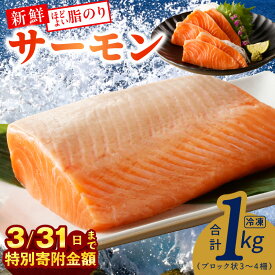 【ふるさと納税】サーモン 1kg ポーション 小分け 刺身 海鮮丼 サラダ カルパッチョ