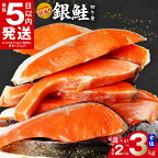 ＼最短翌日～5営業日以内発送／ 銀鮭 鮭 切り身 訳あり サイズ 不揃い 人気の海鮮返礼品 甘塩 塩分控えめ 冷凍 切身 使い勝手抜群 便利 食品 グルメ お弁当 おかず シルバー サーモン 魚 海鮮 ムニエル 泉佐野市 送料無料