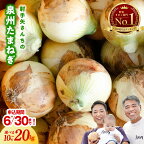 【6/30まで】【高評価☆4.54】 射手矢さんちの 泉州たまねぎ 10kg / 20kg 玉ねぎ 甘い 野菜 ランキング 1位 獲得 国産 M級以上 期間限定 新たまねぎ オニオン スライス サラダ カレー シチュー バーベキュー BBQ 肉じゃが 関西 大阪府 泉佐野市 送料無料