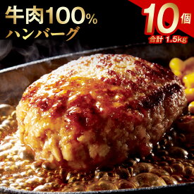 【ふるさと納税】期間限定 ハンバーグ 150g × 10個 合計 1.5kg 冷凍 牛肉100％ 極味付け こだわり 焼くだけ ビーフ 牛肉 玉ねぎ ハンバーグステーキ お弁当 小分け ごはんのお供 簡単調理 食品 お取り寄せ お取り寄せグルメ 無添加 無着色 送料無料 泉佐野市 肉の泉佐野