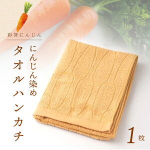 yӂ邳Ɣ[Łz`SHIZUKU` ^InJ` 1| ɂ񂶂