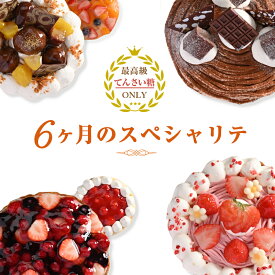 【ふるさと納税】6ヶ月 スペシャリテ 定期便 合計6回【2ヶ月に1回配送】最高級 てんさい糖 ファーストバースデー モンブラン クッキー プリン 生クリーム バスクチーズ デコレーション ケーキ 冷凍 冷蔵 スイーツ デザート おやつ お楽しみ お取り寄せ 泉佐野市 送料無料