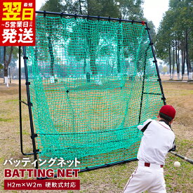【ふるさと納税】野球練習ネット バッティングネット 2Mサイズ 硬式球対応 硬式球 軟式球 ソフトボール 組み立て簡単 専用ケース付き 2重ネット ティーバッティング 送球練習 ネット 練習ネット 野球 スポーツ ZERO HOUSE 最短 翌日発送 5営業日 泉佐野市 送料無料