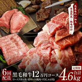【ふるさと納税】黒毛和牛 定期便 全6回 ( ステーキ / 焼肉 / すき焼き しゃぶしゃぶ ) 12万円コース 丸善味わい加工 毎月配送コース ロースステーキ 肩ロース 肉 泉佐野市 送料無料 氷温熟成牛 牛肉 熟成肉 氷温熟成 作り方 ふるさと納税オリジナル 限定 肉の泉佐野