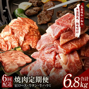 yӂ邳Ɣ[Łzē  6.8kg ( [X / ^ / n~ ) S6   ēp BBQ ɖt ۑP킢H R[X јa 򍲖s  Xn  n