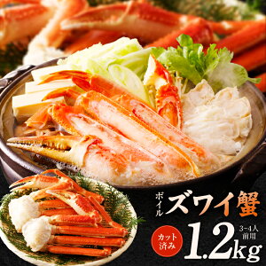 yӂ邳Ɣ[Łz{CYCI 1.2kg Jbgς݁i3-4lOj 񂹃O { 򍲖s 