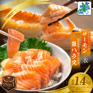 yӂ邳Ɣ[ŁzAgeBbNT[ 200g×2pbN 󂠂 nX 200g × 5P v1.4kg   zH ͂ T[ g q k̑蕨 C̍K CN Ⓚ 