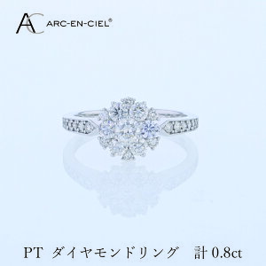 yӂ邳Ɣ[Łzy8/1`iz AJVF PT_CO v0.8ct v`i _C O _ChO VR_Ch P ؂₩  WG[ _Ch 蕨 