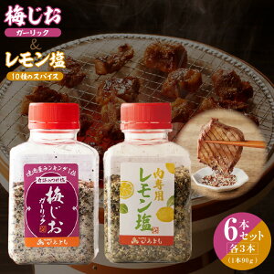 yӂ邳Ɣ[ŁzĂX ~  90g × e 3{ v 6{ Hה Zbg ^ ɂ pX^ ē BBQ AW u₩ p`    悵G^[v