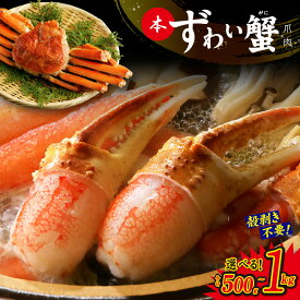 【ふるさと納税】本ずわいがに 爪肉 500g / 1kg 蟹しゃぶ 爪 加熱用 ずわい蟹 カニ 殻剥き不要 簡単 むき身 かに鍋 しゃぶしゃぶ 焼きガニ フライ バター焼き 食品 魚介類 冷凍 お取り寄せ 大阪府 泉佐野市 送料無料