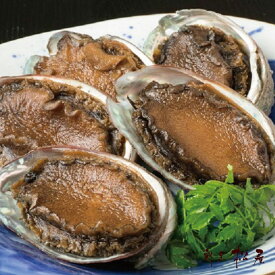 【ふるさと納税】泉佐野老舗料理屋 活あわび 旨煮 5個 冷凍 年末年始 おせち 煮あわび お取り寄せグルメ 魚介類 海鮮 海産物 海の幸 お祝い 大阪府 泉佐野市 送料無料