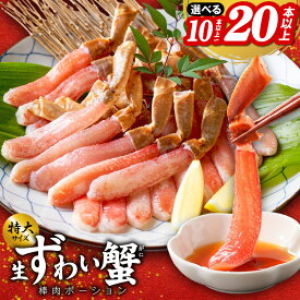 【ふるさと納税】蟹しゃぶ 棒肉 加熱用 かんたん ずわい蟹 生ズワイ蟹 カット済 むき身 蟹 ヘルシー食材 低カロリー 高タンパク しゃぶしゃぶ かに鍋 鍋料理 海産物 海の幸 魚貝類 食品 関西 大阪 泉佐野市 お取り寄せ 冷凍送料無料
