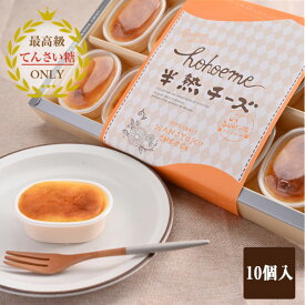 【ふるさと納税】半熟チーズ 10個入り チーズケーキ 3種類のチーズ クリームチーズ てんさい糖 使用 とろける食感 チーズ ケーキ デザート スイーツ おやつ 洋菓子 冷凍 お取り寄せ お取り寄せスイーツ 大阪府 泉佐野市 送料無料