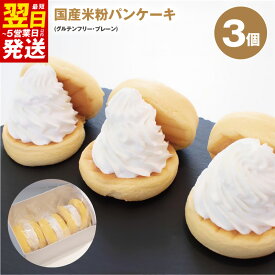 【ふるさと納税】パンケーキ 3個入 ( グルテンフリー プレーン ) パンケーキカフェ cafeblow 国産米粉パンケーキ 米粉 お取り寄せ スイーツ デザート おやつ ギフト 贈り物 熨斗 対応可 誕生日 記念日 冷凍 最短 翌日発送 5営業日 泉佐野市 送料無料