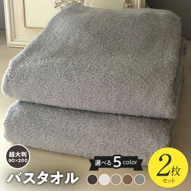 【ふるさと納税】選べるカラー 90×200 超大判 バスタオル 2枚 セット ダークブラウン / サミットホワイト / シュアラインベージュ / コカブラウン / オリオングレー 泉州タオル ※ 大判タオル 厚手 パイル 無地 耐久性 吸水力 単色