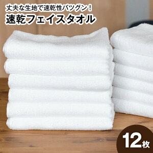 �y�ӂ邳�Ɣ[�Łz220�� �����t�F�C�X�^�I�� 12���Z�b�g �z���C�g ���� ���n �ϋv�� �z���� �P�F ��B�^�I��