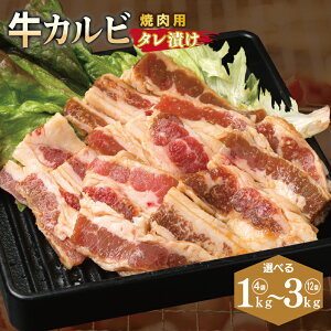yӂ邳Ɣ[ŁzJr ēp ^Ђ v 1kg / 1.5kg / 2kg / 2.5kg / 3kg t  Ă ȒP BBQ   ē Iݖ ^ ֗ ӎ ܂  񂹃O