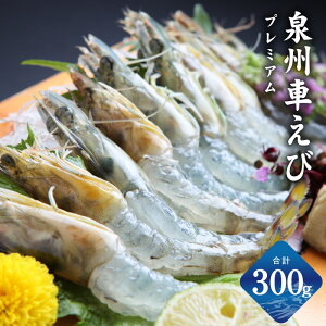 yӂ邳Ɣ[ŁzBԂ 300g H s\  Ԃ Gr ԊCV vv NxQ {B  H hg hg CV GrtC Ⓚ uԗⓀ   