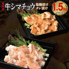 【ふるさと納税】牛シマチョウ 焼肉用 塩麹漬け タレ漬け 食べ比べ 合計 1.5kg シマチョウ 希少部位 味付け 小分け 食べきりサイズ 焼くだけ 簡単調理 ホームパーティ BBQ 煮込み おつまみ 牛肉 ホルモン 250g 6袋 大阪府 泉佐野市 お取り寄せ 送料無料 肉の泉佐野