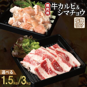 yӂ邳Ɣ[ŁzJr V}`E ēZbg Ђ v 1.5kg / 3kg t  Ă ȒP BBQ     Jr z ē  _炩 ֗ ӎ ܂ 