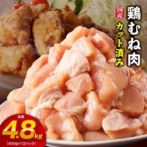 yӂ邳Ɣ[ŁzyJbgς݁z Y {ނ˓  4.8kg  400g×12P { l ɖt J[ ^pN g eq __{ u ϕ  ܂ ٓ 󂠂 T