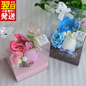 yӂ邳Ɣ[ŁzB^It[ v` nh^I 2Zbg 23cm×23cm 100p[Zg t[AWg Mtg j v[g 蕨 킢 `[t 