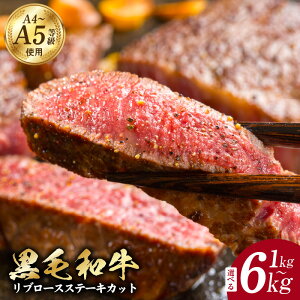 yӂ邳Ɣ[ŁzA5/A4 јa u[XXe[L Jbg ɖt Y 1pbN 250g Iׂ 1kg 4P / 2kg 8P / 4kg 16P / 6kg 24P  u[X Xe[L Xe[L  Ⓚ  