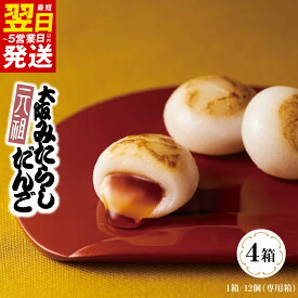 【ふるさと納税】元祖大阪 みたらしだんご 12個×4箱【専用箱】 最短 翌日発送 5営業日