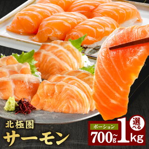 yӂ邳Ɣ[ŁzkɌT[ |[V 700g / 1kg AgeBbNT[ T[   CN  mEF[Y hg Jpb` i pX^ Hi  Ⓚ 򍲖s 