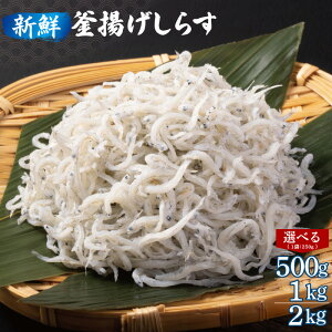 yӂ邳Ɣ[ŁzVN g炷 v 500g / 1kg / 2kg  e 250g ۑ sgp 炷 VNȂ炷 }Ⓚ VX{̎|  񂹃O 炷 T_ pX^ 