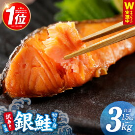 【ふるさと納税】総合1位 銀鮭 訳あり さけ シャケ 切り身 サイズ 不揃い 発送時期が選べる お試し 1.5kg / 2kg / 3kg / 定期便 2kg×3回 塩分控えめ 冷凍 サーモン 魚 ギンサケサーモン 焼くだけ 簡単 家計応援 魚介類 ランキング 大阪府 泉佐野市 KGCP 送料無料