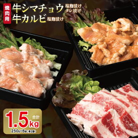 【ふるさと納税】牛 シマチョウ タレ漬け 塩麹 塩麹漬け 牛カルビ 焼肉 セット 250g × 各 2袋 合計 1.5kg 味付け 小分け 焼くだけ 簡単調理 BBQ 焼肉用 生姜醤油 特製タレ 牛肉 ホルモン 牛ホルモン 牛シマチョウ カルビ 冷凍 肉の泉佐野 お取り寄せ 泉佐野市 送料無料