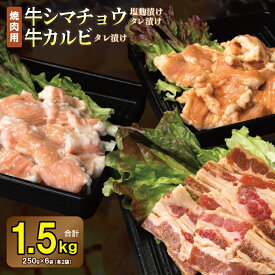【ふるさと納税】牛 シマチョウ 塩麹 タレ漬け 牛カルビ 焼肉 セット 250g × 各 2袋 合計 1.5kg 味付け 小分け 焼くだけ 簡単調理 BBQ 焼肉用 生姜醤油 特製タレ 牛肉 ホルモン 牛ホルモン 牛シマチョウ カルビ 冷凍 肉の泉佐野 お取り寄せ 泉佐野市 送料無料