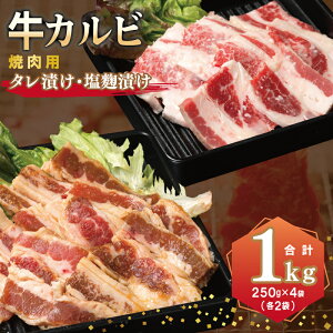yӂ邳Ɣ[ŁzJr ēp ^Ђ Ђ 250g × e 2 v 1kg t  Ă ȒP BBQ ē Iݖ ^   Jr Ⓚ ̐򍲖  