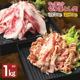 【ふるさと納税】牛肉 切り落とし タレ漬け 塩麹漬け 250g × 各 2袋 合計 1kg 味付け 小分け 焼くだけ 簡単調理 BBQ 生姜醤油 特製タレ 塩麹 牛 炒め物 野菜炒め 冷凍 肉の泉佐野 お取り寄せ お取り寄せグルメ 泉佐野市 送料無料
