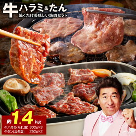 【ふるさと納税】【発送月が選べる】 焼肉セット 総量 1.4kg 大人気 ファミリー向け 薄切り スライス ねぎ塩 牛タン やわらか ジューシー 牛ハラミ肉 たれ漬 焼肉 BBQ 肉 牛肉 冷凍 焼くだけ 簡単 食品 お取り寄せ 大阪府 泉佐野市 送料無料 肉の泉佐野