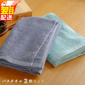 【ふるさと納税】タオル ムコタオル バスタオル 2枚 セット 【最強翌日配送】 デイリー ラベンダーグレー アクアマリン 少し薄手 普段使い 吸水性 優しい肌触り 綿100％ 乾きやすい 日用品 お取り寄せ 関西 泉佐野市 送料無料