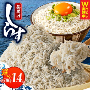 yӂ邳Ɣ[Łz_󂠂^ 炷  700g / 1.4kg g炷 g pY Y ƒp VX YiۑAFAsgpj VR JVE ܂ ̍ ͂̂