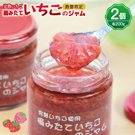 【ふるさと納税】期間限定 数量限定 いちごのジャム 200g × 2個 特別規格 瓶 甘味料・保存料・香料・着色料無添加 厳選素材 完熟 朝摘みいちご 国産 苺 ジャム いちごジャム ストロベリージャム フルーツジャム お取り寄せ 泉佐野市 辻農園