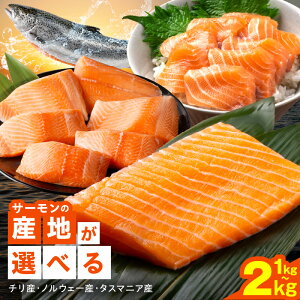 yӂ邳Ɣ[Łz]4.78 |IƓw T[ 1kg / 2kg ubN Yn Iׂ `Y / ^X}jAY / mEF[Y  Vo[T[ AgeBbNT[ TCYs h