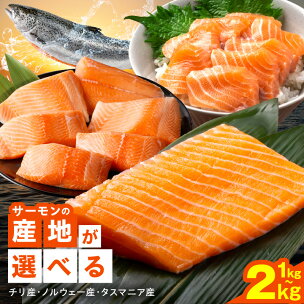 訳あり サーモン 発送月が選べる 1kg / 2kg ブロ...