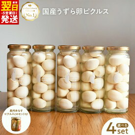【ふるさと納税】ピクルス うずら卵のピクルス 選べる 2本 / うずら卵 水なす ピクルス和風 各 1本 / 5本 / 10本 セット 国産 昆布だし 着色料 保存料 無添加 晩酌 おかず 常備菜 NSW 最短 翌日発送 5営業日 泉佐野市 送料無料