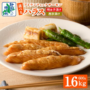 yӂ邳Ɣ[ŁzAgeBbN T[ nX Iׂ  e qЂ Ђ 600g / 1kg / 1.6kg sh ꖡhq X ܂₩ Â   ٓ ܂ 