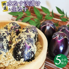 【ふるさと納税】【先行予約】 特選 水なす浅漬け 生なす 5個入り 泉州特産 朝採れ 泉州水ナス 甘みが強い 皮が薄い 柔らかい あくが少ない 野菜 ぬか漬け 浅漬け なす 食品 食べ物 漬物 お取り寄せ お取り寄せグルメ 大阪府 泉佐野市 送料無料
