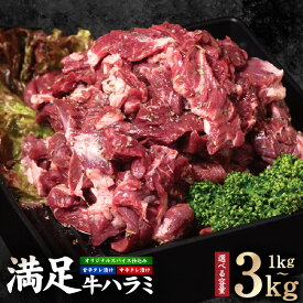 【ふるさと納税】満足牛 ハラミ 選べる 種類 内容量 オリジナルスパイス / 甘辛 / 中辛タレ 1kg / 1.5kg / 2kg / 2.5kg / 3kg 小分け 焼くだけ 食べたい分だけ 簡単調理 ハラミ丼 野菜炒め アレンジ 焼き肉 BBQ 牛肉 お取り寄せグルメ 大阪府 泉佐野市 送料無料 肉の泉佐野