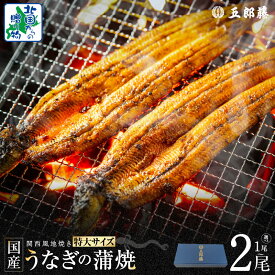 【ふるさと納税】ビッグサイズ 数量限定 老舗 五郎藤 関西風地焼き 国産 有頭旨鰻 250g×1尾 / 250g×2尾 特大 うなぎ 蒲焼き 炭火 たれ 粉山椒 付き ウナギの蒲焼 魚介類 惣菜 うな丼 ひつまぶし 冷凍 化粧箱入り 泉佐野市 送料無料
